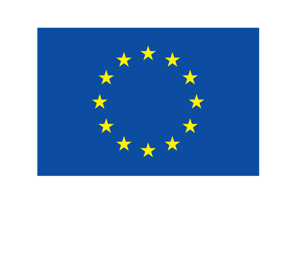 Medegefinancierd door de Europese Unie